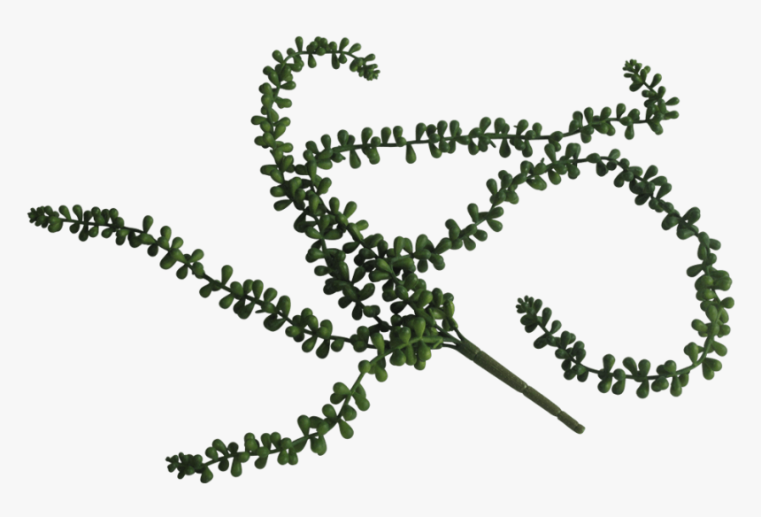 Transparent String Of Pearls Clipart, HD Png Download