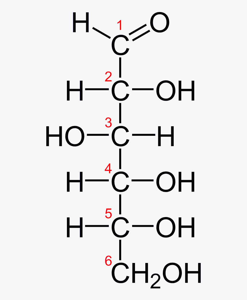 D Glucose Chain 2d Fischer, HD Png Download