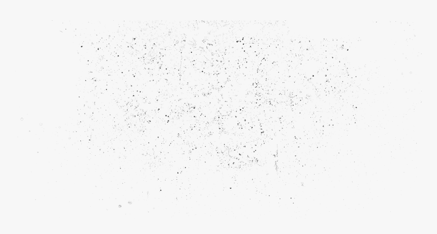 Bird, HD Png Download