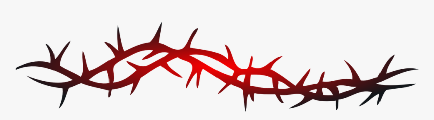 Barbed Wire, Curled, Twisted, Red, Danger, Keep Out - Thorns Clipart Png, Transparent Png