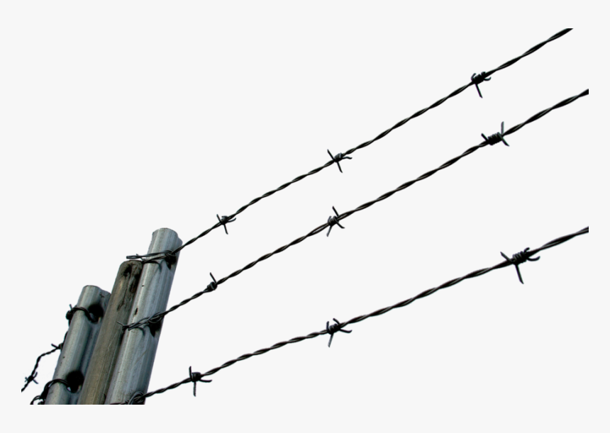 Barbed Wire Fence Clip, HD Png Download