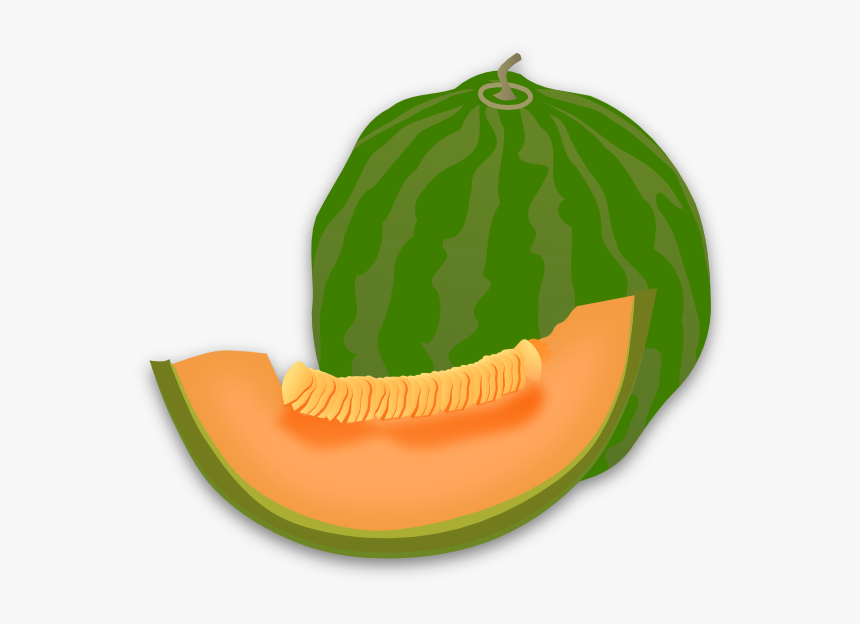 Yummy Melon Clip Art At Clker - Png Clipart Melon, Transparent Png