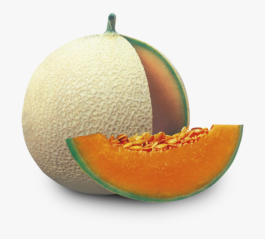 Melone Supremo Ok - Cantaloupe, HD Png Download