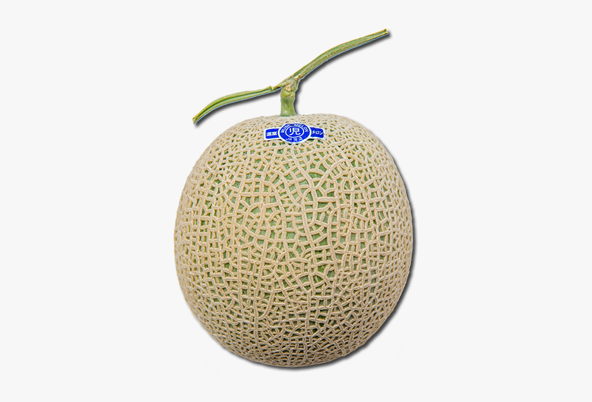 Honeydew, HD Png Download