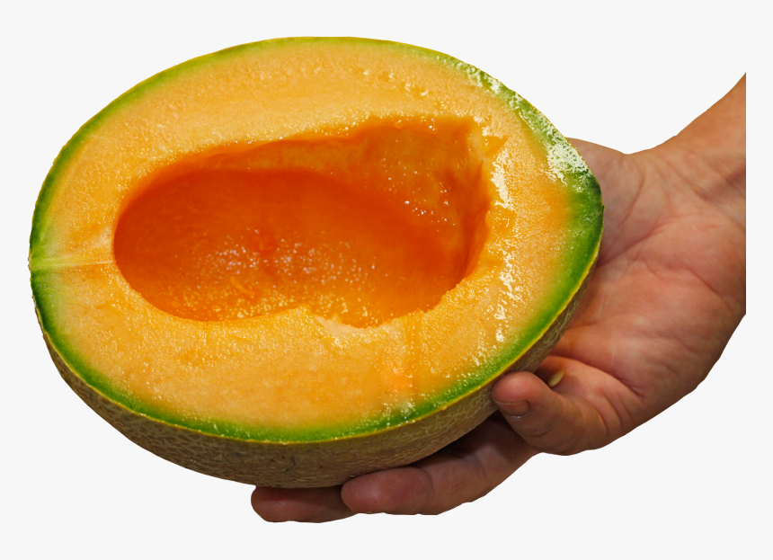 Avocado, HD Png Download