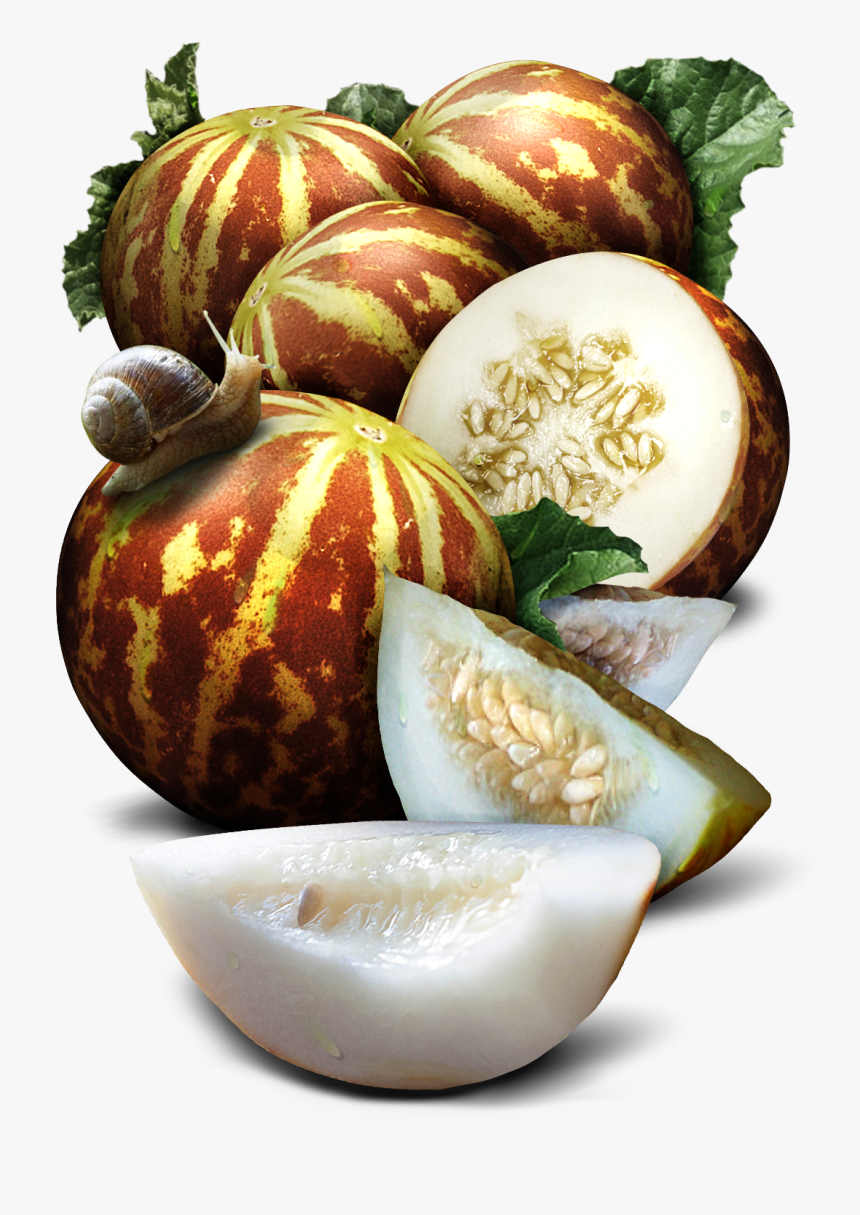 Tigger Melon Seeds For Planting 
 Class Lazyload Lazyload - Natural Foods, HD Png Download