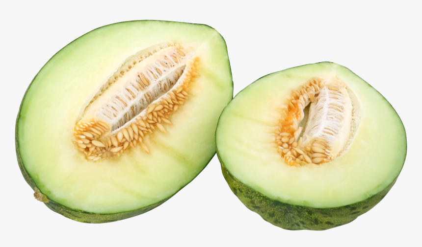 Muskmelon, HD Png Download