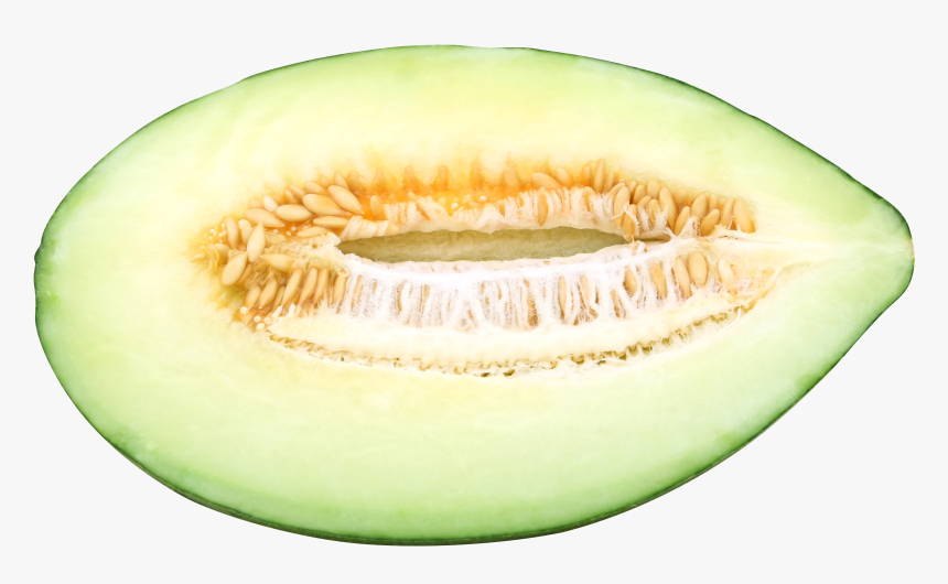 Cantaloupe Png, Transparent Png