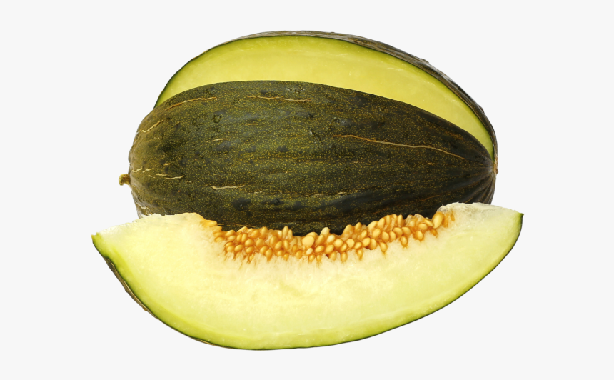 Piel De Sapo Png, Transparent Png