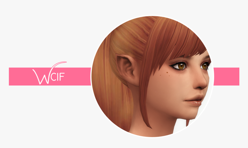 Lace Wig, HD Png Download