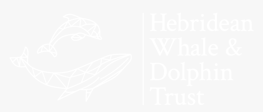 Static1 - Squarespace - Johns Hopkins Logo White, HD Png Download