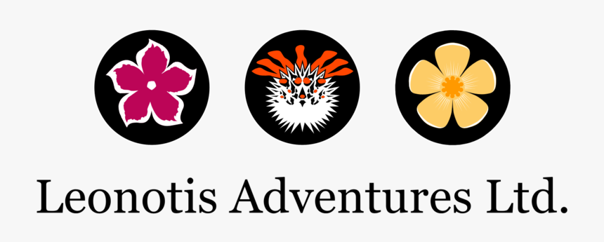 Adventures-transparent, HD Png Download