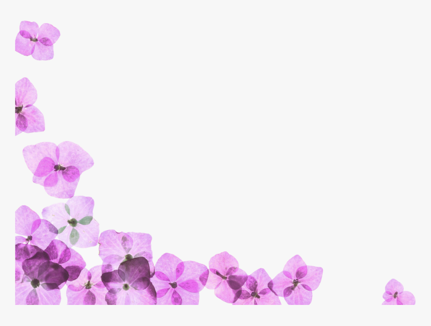 Spa Png, Transparent Png