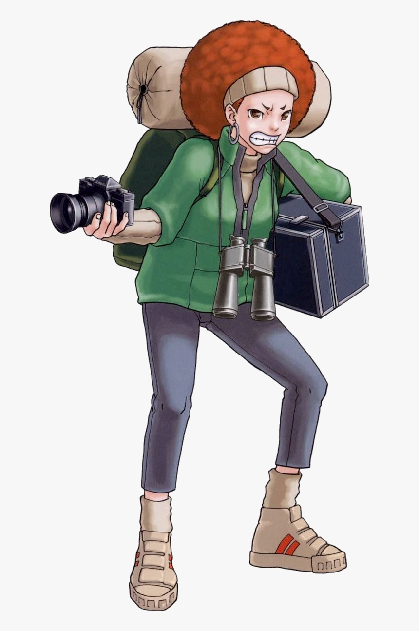 Transparent Phoenix Wright Png - Phoenix Wright Lotta Hart, Png Download