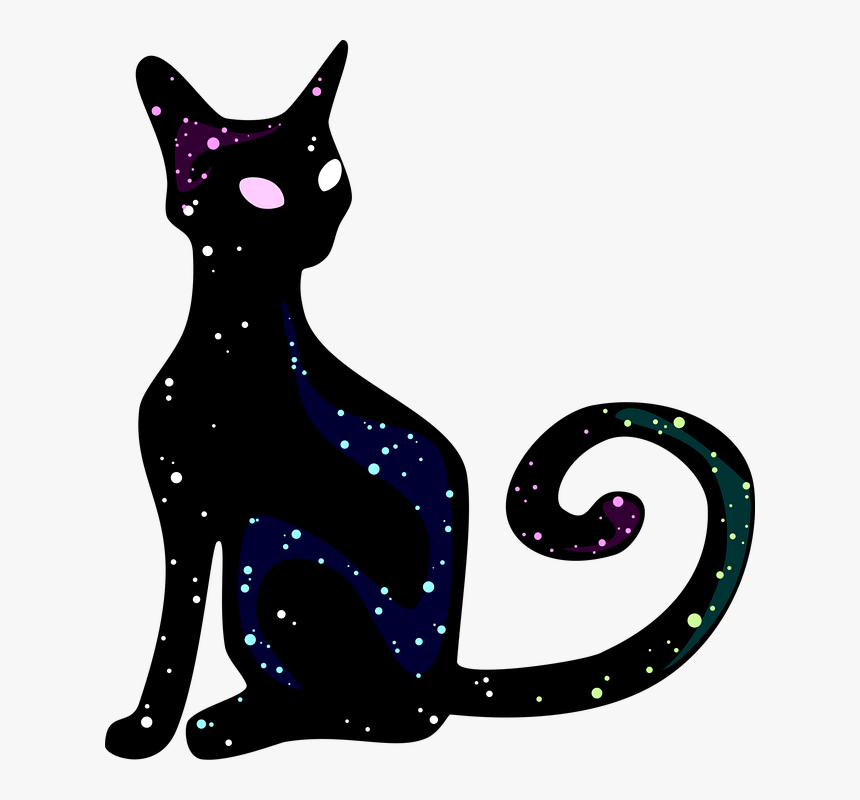 Cat, Cosmos, Black, Animal, Starry Sky, Silhouette - Illustration, HD Png Download