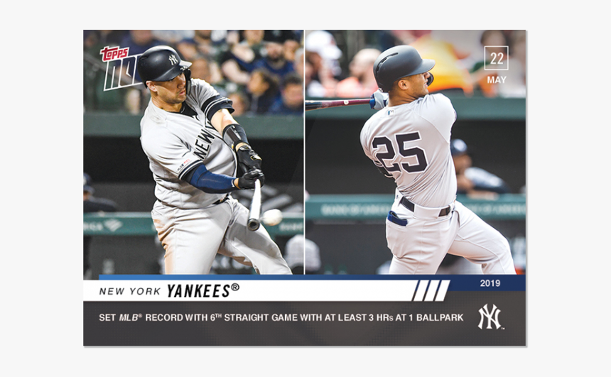 New York Yankees - Aadi Lagna Patrika, HD Png Download