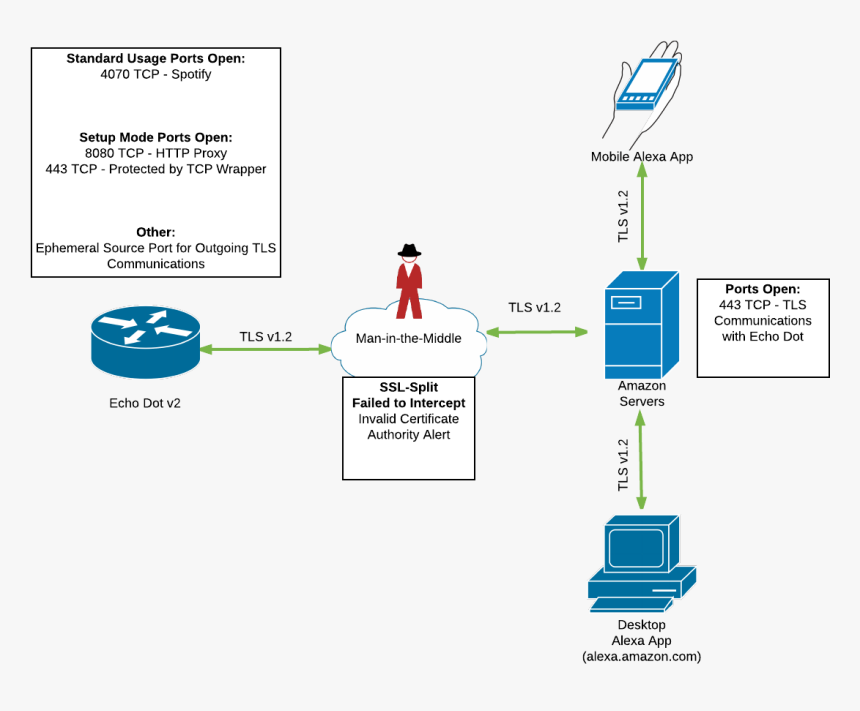 Network Findings Diagram, HD Png Download