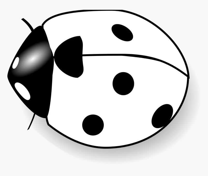 Bee Clipart Black And White - Lady Bug Black And White Clipart, HD Png Download