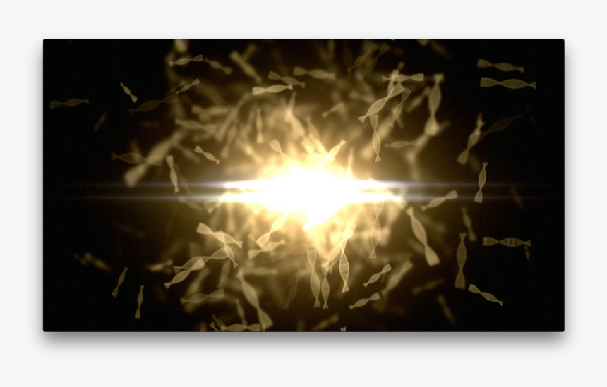 Sunlight, HD Png Download