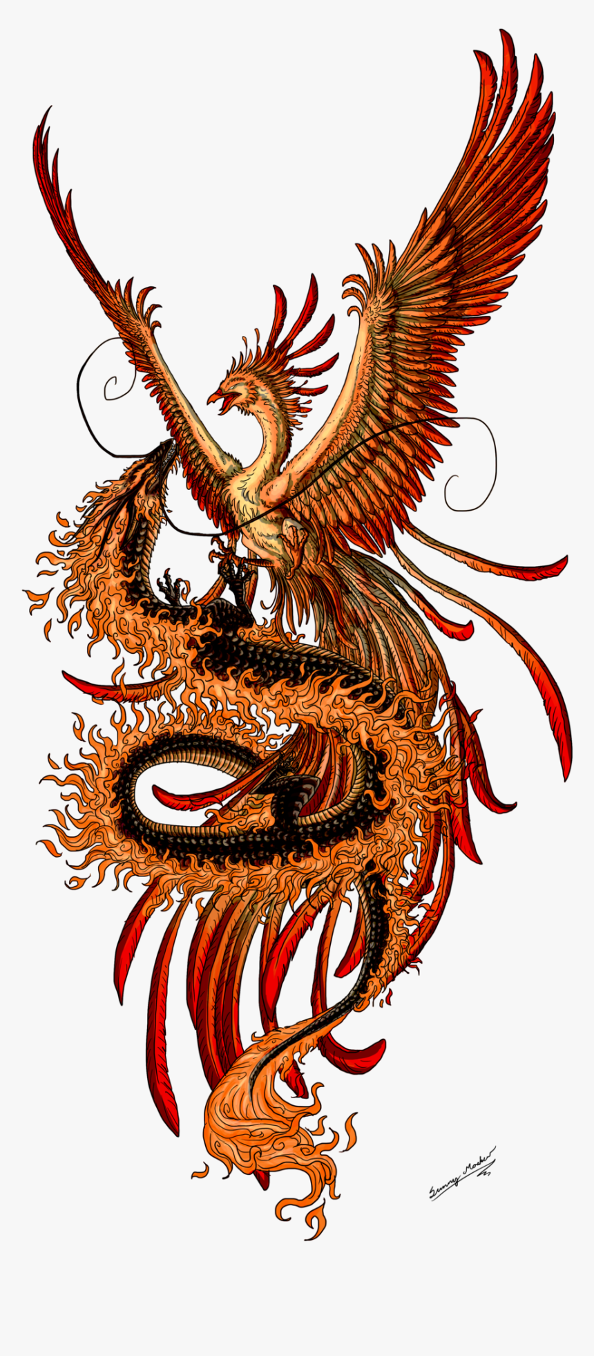 Dragon Tattoo Transparent Background Png - Phoenix And Dragon Tattoo, Png Download