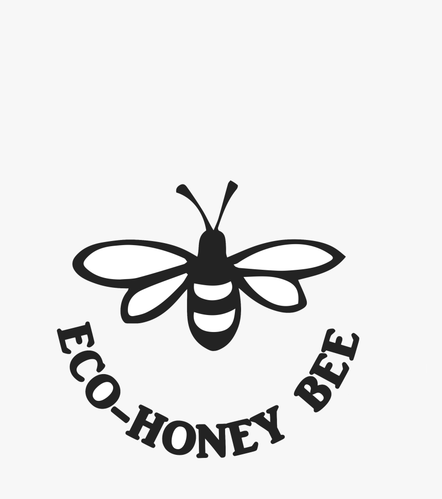 Stylized Bee - Institute Of Asset Management Logo, HD Png Download