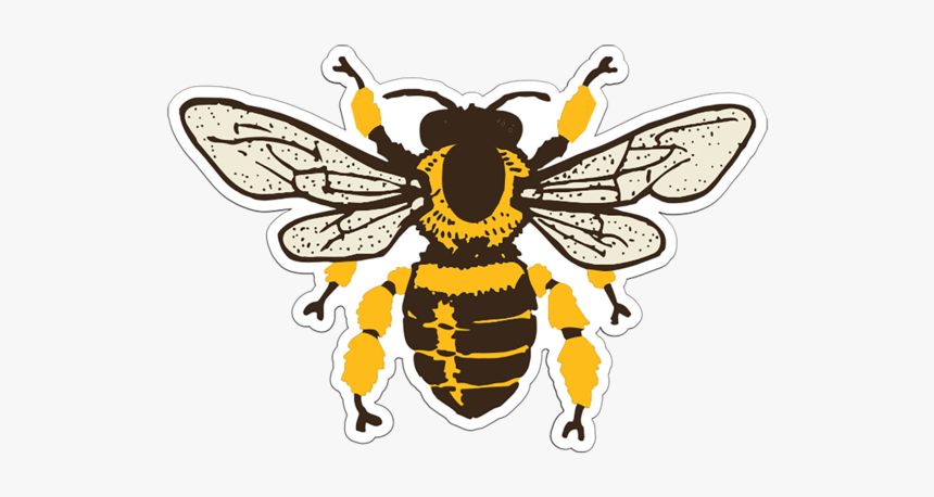 Honey Bee Patch - Clip Art Vintage Bee, HD Png Download