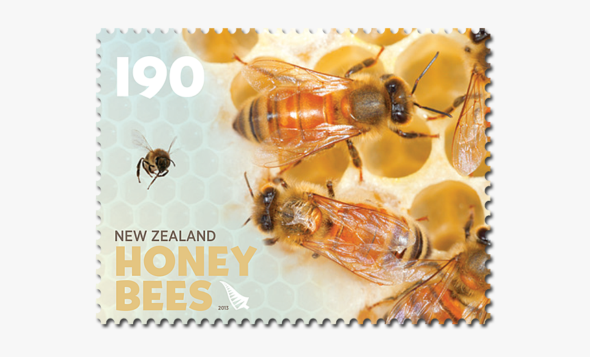 1 - 90-stamp - Bee Stamps New Zealand, HD Png Download