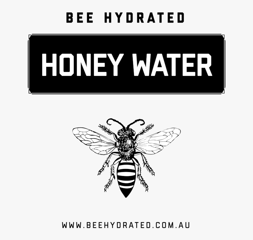 Bee Hydrated Honey Water Contains 100% Natural Australian - Honeybee, HD Png Download