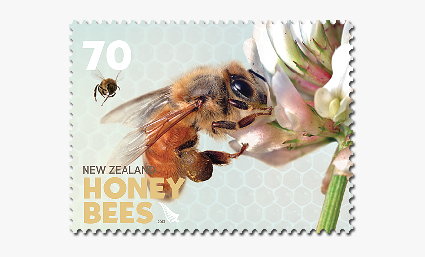 70c-stamp - Bee Postage Stamps, HD Png Download