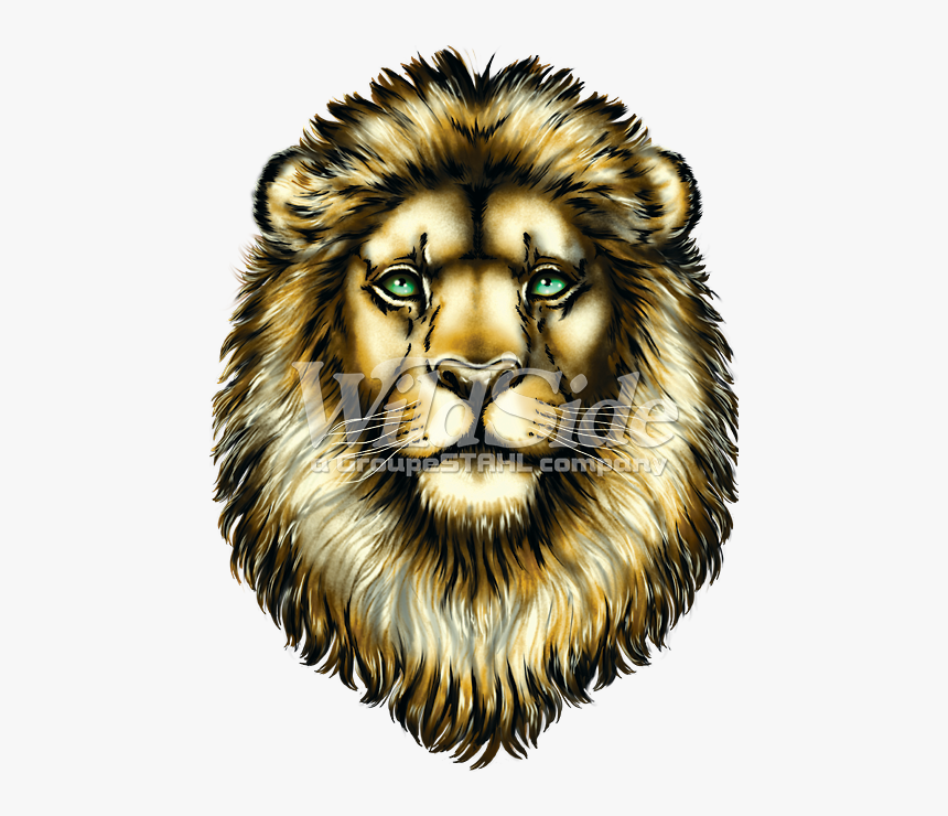 Big Face Roaring Lion Adult T-shirt The Mountain , - Masai Lion, HD Png Download