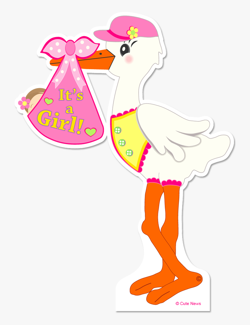 Transparent It S A Girl Png - Its A Boy Bird Cartoon, Png Download