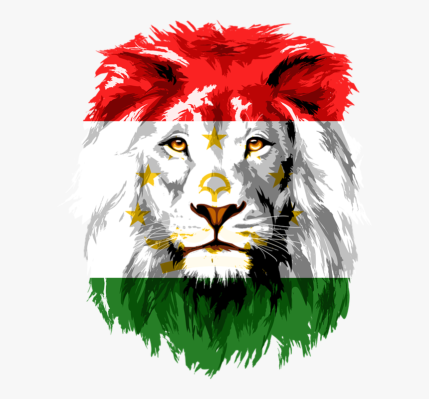 Lion, Iran, Tajikistan, Afghanistan, India, Khujand - Lion Head Clipart Png, Transparent Png