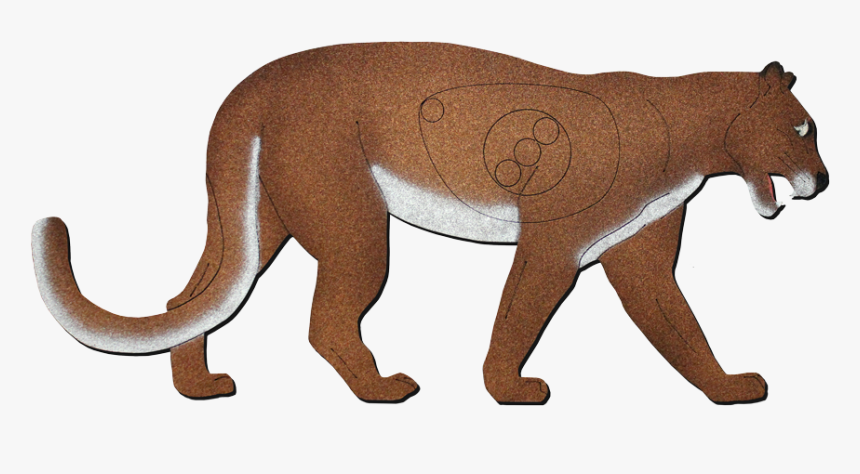 Lion, HD Png Download