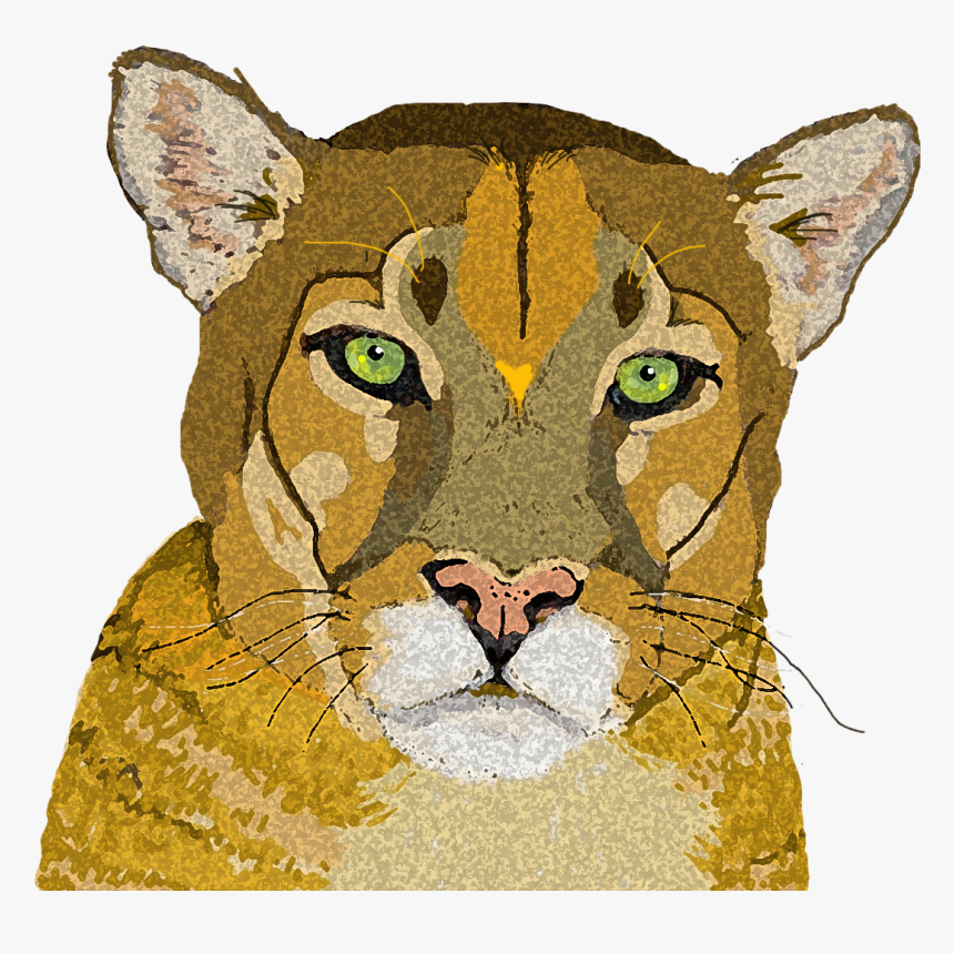 Mountain Lion 3 Copy - Cougar, HD Png Download