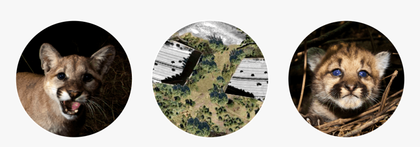 Outcrop, HD Png Download