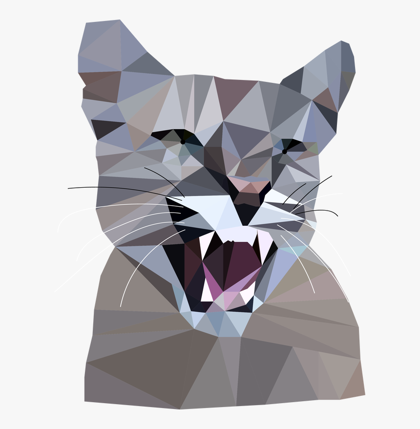 Picture - Cat, HD Png Download