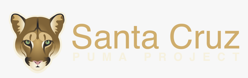 Santa Cruz Puma Project - Aci Santa Cruz Do Sul, HD Png Download