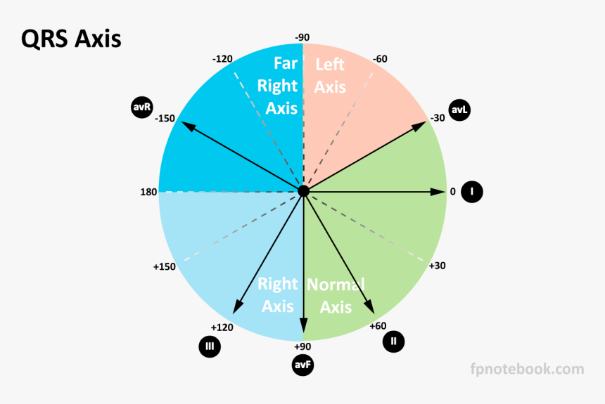 Ekg-axes - Circle, HD Png Download