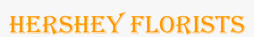 Orange, HD Png Download