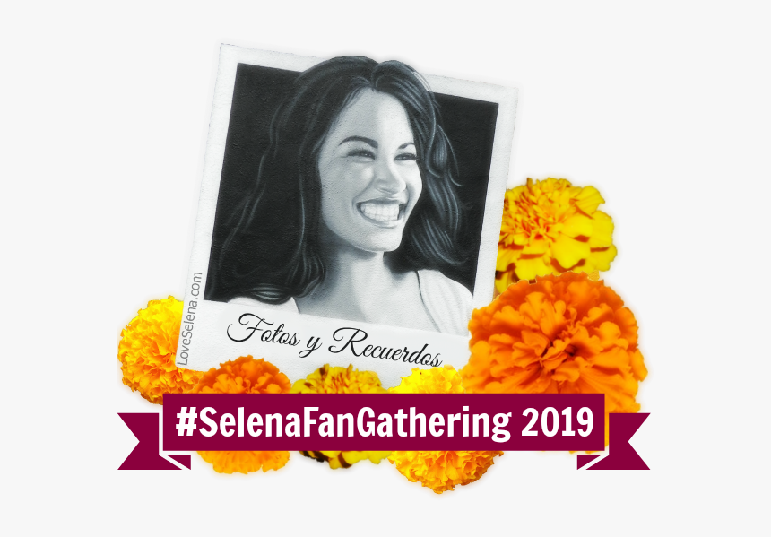 Tagetes Patula, HD Png Download