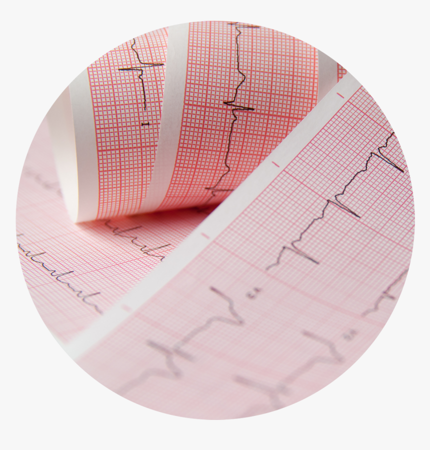 Circle, HD Png Download