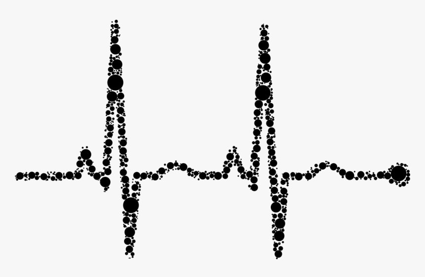 Line,tree,plant - Plot, HD Png Download