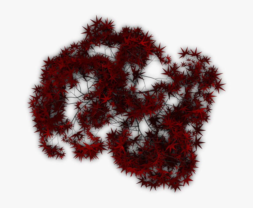 Trees Top View Png, Transparent Png