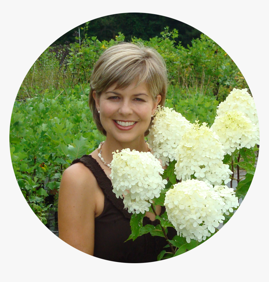 Transparent Pine Tree Top View Png - Bouquet, Png Download