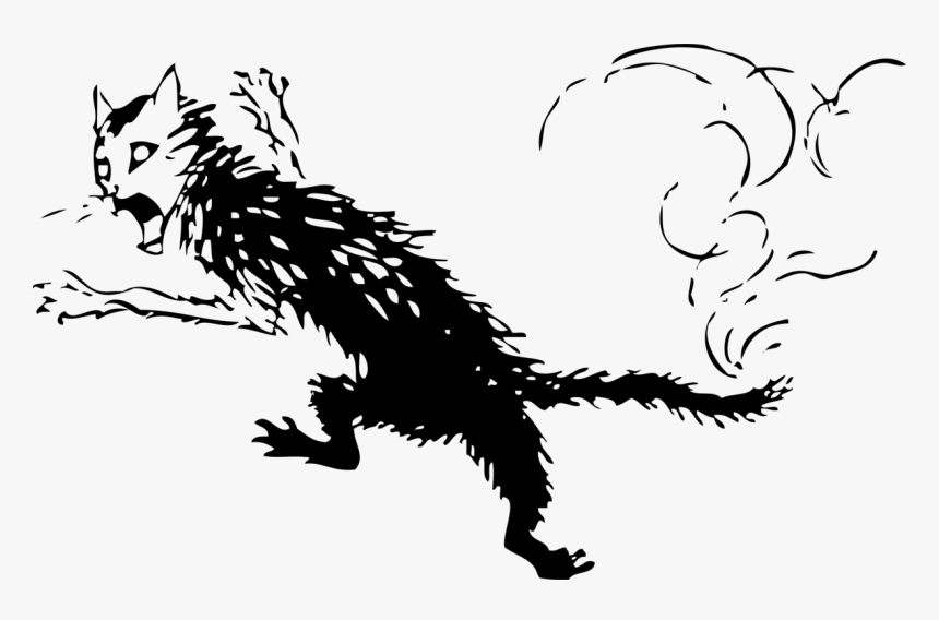 Art,monochrome Photography,carnivoran - Cat, HD Png Download