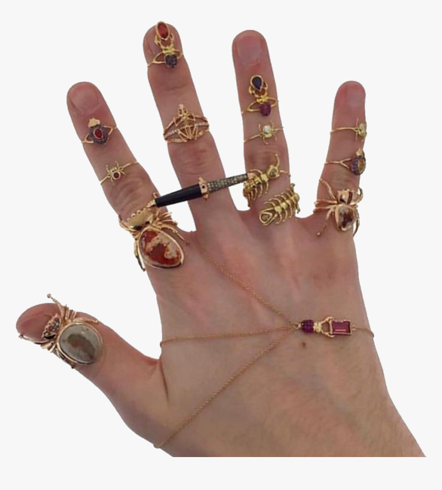 #hand #hands #jewelry #rings #bugs #png #pngs #aesthetic - Hand With Rings Png, Transparent Png