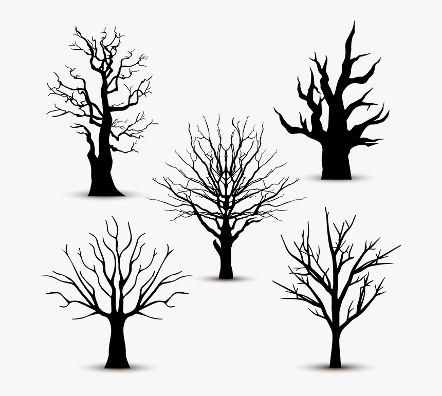 Arbol Sin Hojas Tatuaje, HD Png Download