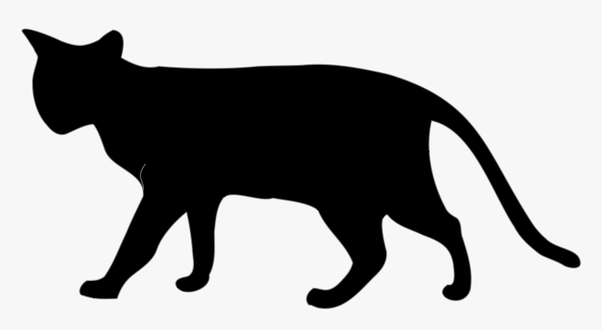 Transparent White Cat Png - Cat Png Black And White, Png Download
