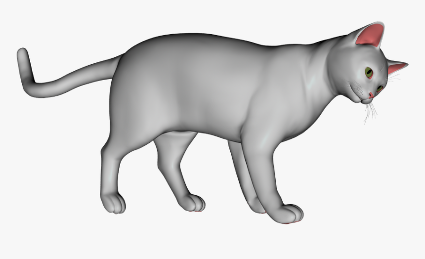 Transparent White Cat Png - Peterbald, Png Download