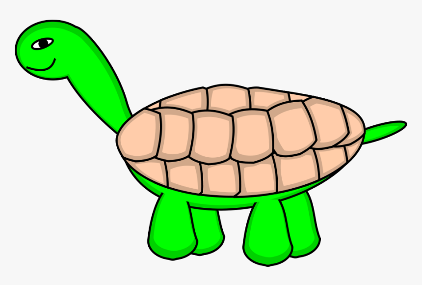 Tortoise Stage 6 Final Svg Clip Arts - Moving Pictures Of Turtles, HD Png Download